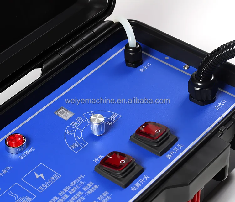 Commercial Industrial Tankless - огляд і ціна Steam Cleaner Commercial 3000W