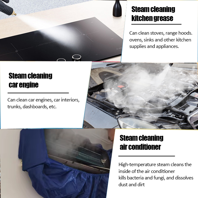 3000W Good Price Steam Shot Ha - огляд і ціна Steam Cleaner Commercial 3000W