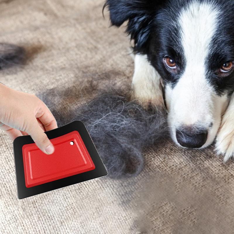 Pet Hair Remover Comb Brush Do - огляд і ціна Carpet Extractor Machine
