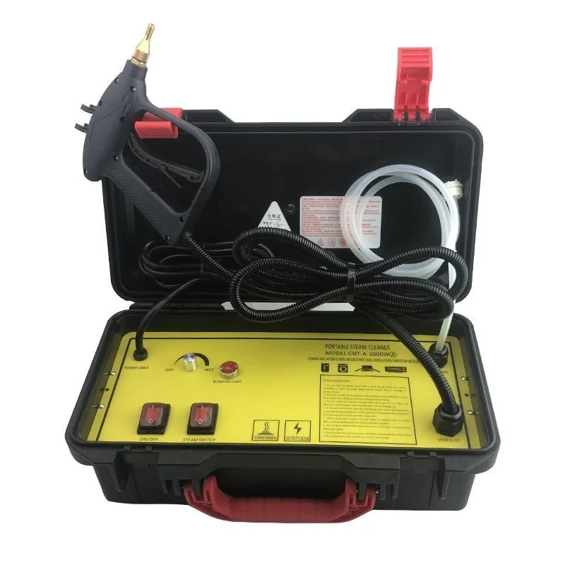 110V/220V High Temperature Ste - огляд і ціна Steam Cleaner Commercial 3000W