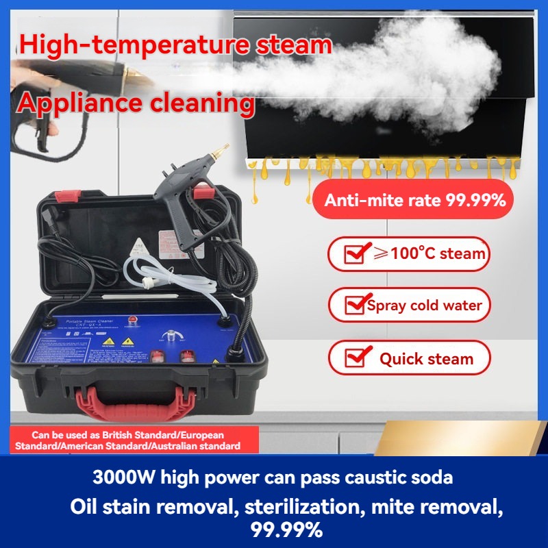 110V/220V High Temperature Ste - огляд і ціна Steam Cleaner Commercial 3000W